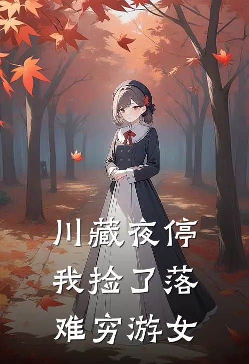 川藏夜停，我捡了落难穷游女