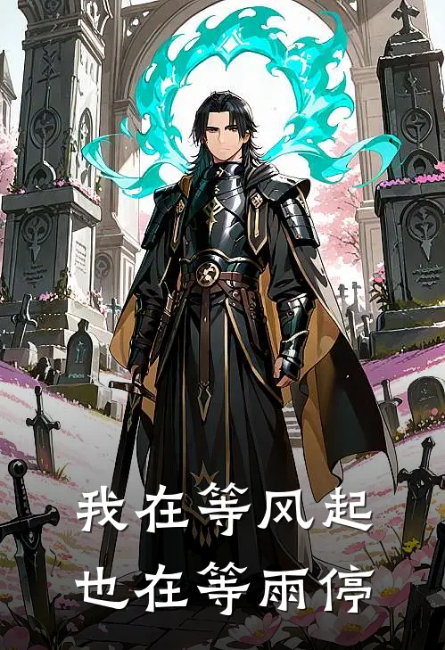 我在等风起，也在等雨停